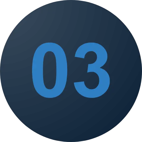 Puce 3